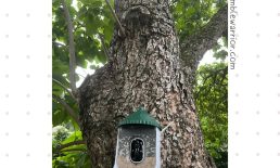 Lotus Smart Bird Feeder