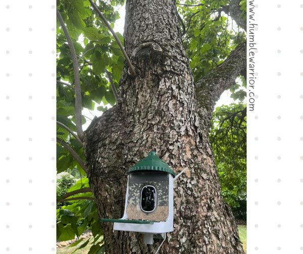 Lotus Smart Bird Feeder
