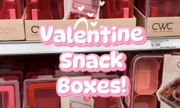 Valentine Snack Boxes!